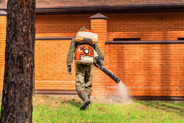 Top rated local Fumigation Services specialists in Dunn, NC